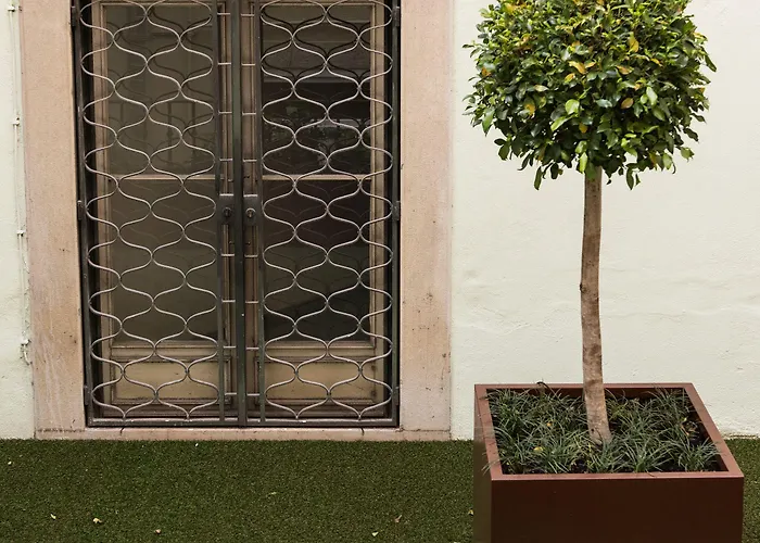 アルマルサ バイシャ/シアード 4*